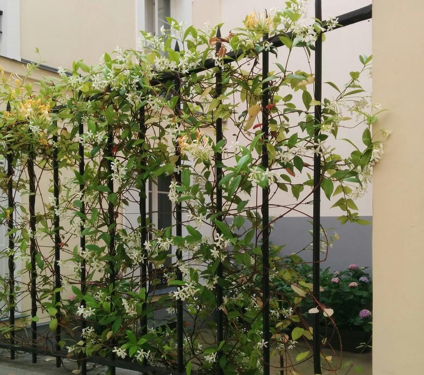 La Cour Du 5Eme - Chambre D'Hotes Paříž Exteriér fotografie